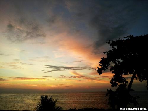 a sunset over the ocean with a tree in the foreground at Arora Inn in Maafushi