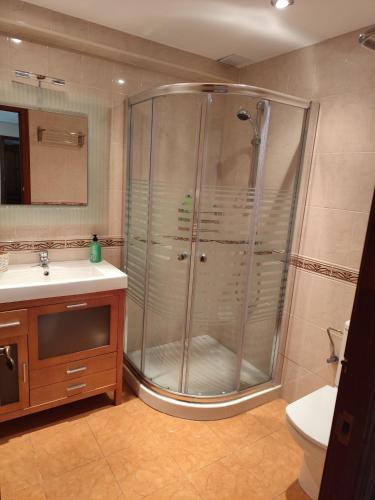 a bathroom with a shower and a sink at Casa Rural Pesquera de Duero in Pesquera de Duero