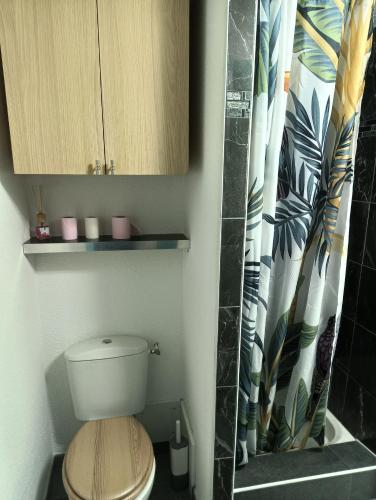 une salle de bain avec toilettes et rideau de douche dans l'établissement Maisonnette Bleue Bora-Bora, à Argelès-sur-Mer