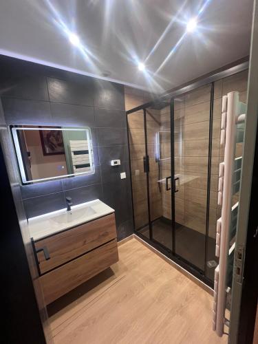 une salle de bain avec un lavabo et une douche dans l'établissement Patrimoine Albigeois 36 HDV DupleX, à Albi