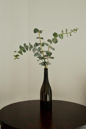 Fotografie z fotogalerie ubytování Finca Vitali v destinaci Cuatrociénegas de Carranza