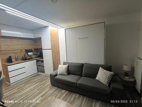 a living room with a couch and a kitchen at Les Crêtes in Vionnaz
