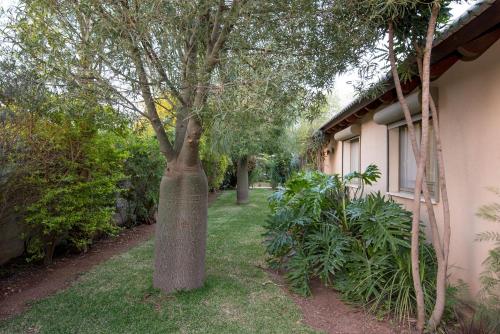 a tree in the yard next to a house at Song of Galilee in Elifelet