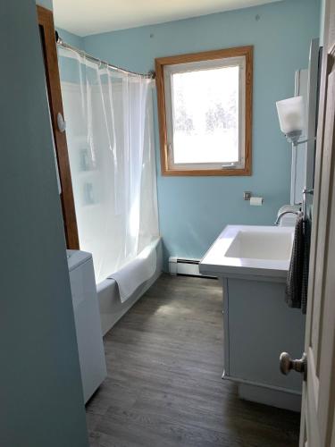a bathroom with a tub and a sink and a window at Two Bedroom in Great Location in Fairbanks