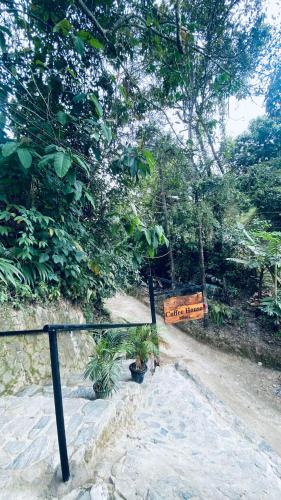 a sign that is on the side of a dirt road at Coffee House Minca in Minca