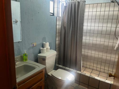 a bathroom with a toilet and a sink and a shower at Ocotillo del Mar in San Felipe
