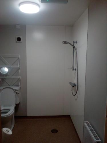 a bathroom with a toilet and a shower stall at Artisthostel Letterkenny in Letterkenny