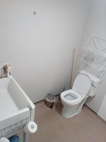 a bathroom with a white toilet and a sink at Artisthostel Letterkenny in Letterkenny