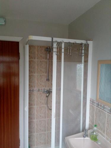 a bathroom with a shower and a sink at Artisthostel Letterkenny in Letterkenny