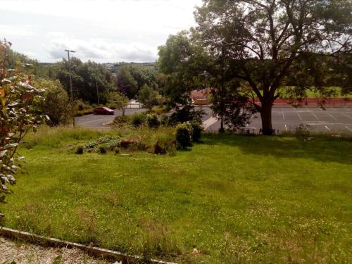 a green lawn with a tree and a parking lot at Artisthostel Letterkenny in Letterkenny