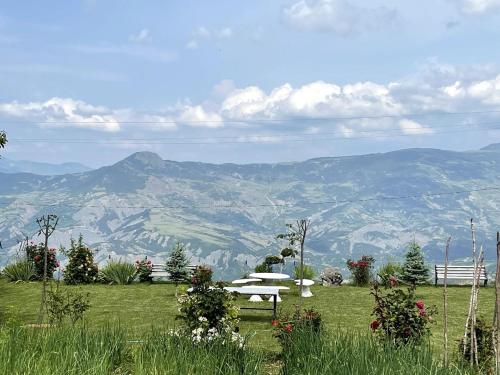 a bench sitting on top of a green field with mountains at Villa Tomorrow in Ujanik