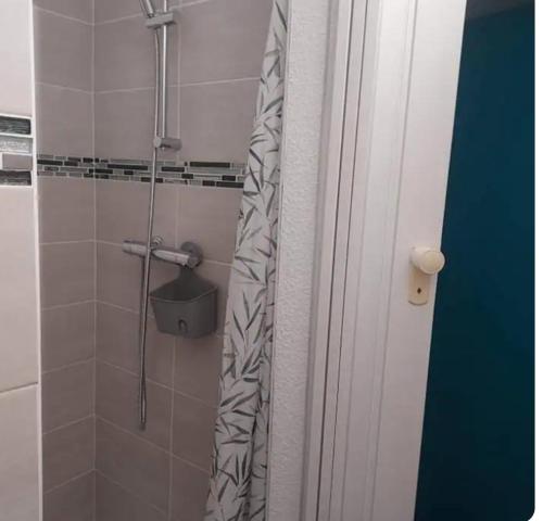 La salle de bains est pourvue d'une douche avec rideau de douche. dans l'établissement Bleu miami, à Argelès-sur-Mer