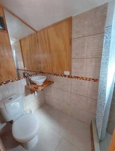 a bathroom with a toilet and a sink at Hostal House FloVer in Puerto Varas