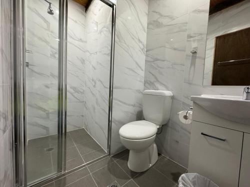 a bathroom with a toilet and a shower and a sink at Bunkhouse Motel Cooma in Cooma