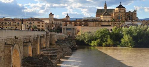 Vistas a la mezquita