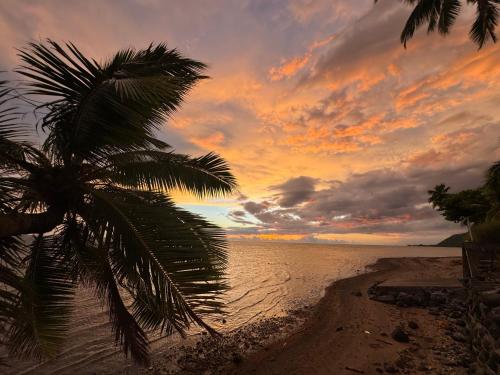 a palm tree on a beach with a sunset at Blue Moana Lodge in Papara