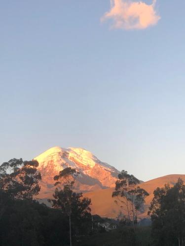 a snow covered mountain with trees in front of it at Hostal Casa Alamos in Guaranda