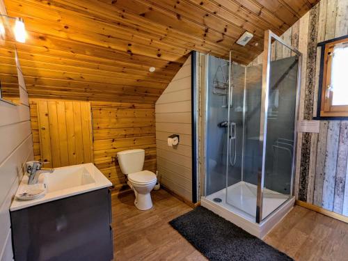 a bathroom with a shower and a toilet and a sink at Chalet confortable avec 4 chambres, cheminée, grand terrain, proche pistes et lac - FR-1-589-107 in Le Ménil
