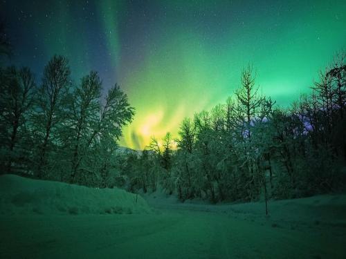 an aurora in the sky over a road with trees at Riverfront house with 98 inch TV, ps5 & activities in Narvik