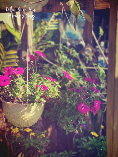 a pot of pink flowers hanging from a wall at Đồi Gió Hú Homestay & Coffee Măng Đen in Kon Von Kla
