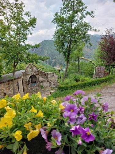 a bunch of flowers in front of an old building at Agri Grotta dell'Eremita in Castelmezzano