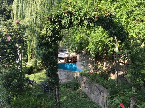 an archway with a pool in a garden at Agri Grotta dell'Eremita in Castelmezzano