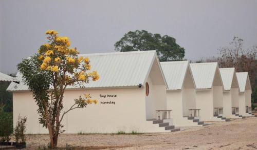 Tiny house homestay T3-5