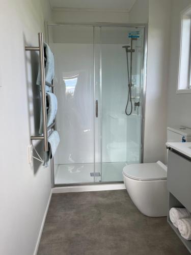 a white bathroom with a shower and a toilet at Horseinaround in Cambridge