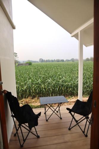 Tiny house homestay T3-5