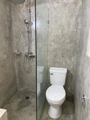 a bathroom with a toilet and a glass shower at Villa Pierretta in the center, Playa Las Terrenas in Las Terrenas