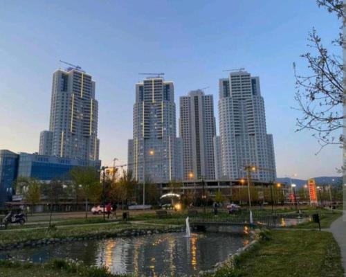 Bloom Apartments D235