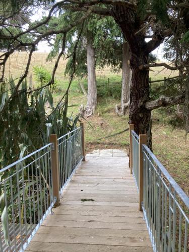 a wooden walkway leading to a tree with a fence at Treetop Studio in Wellington