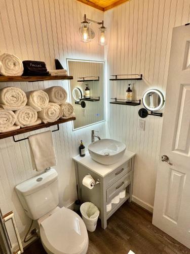 a bathroom with a toilet and a sink and a mirror at The Sugar Suite - Renovated with a View! Ski IN-OUT! Heated POOL, Hot tub, sauna, gym, AC, EV in Sugar Mountain