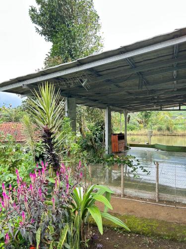 Κήπος έξω από το Villa DiDu, Puncak 2