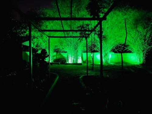 a room with green lights in the dark at 1000 SILVERS -Farm Stay in Mysore