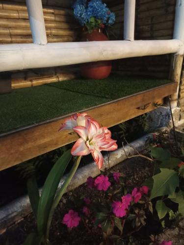 a flower sitting on the side of a porch at Green Bamboo Lodge in San Francisco de Borja