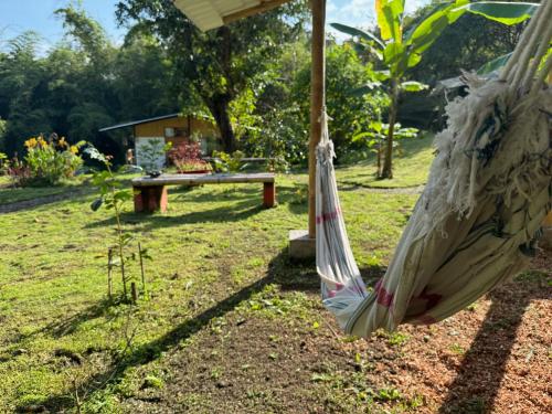 a hammock in a garden with a bench in the background at Green Bamboo Lodge in San Francisco de Borja
