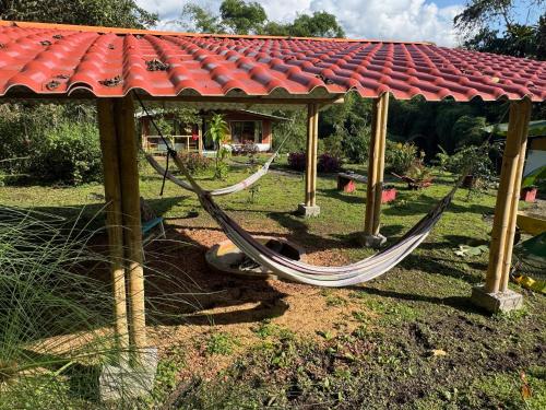 a hammock under a gazebo with a roof at Green Bamboo Lodge in San Francisco de Borja