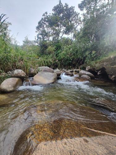 a stream of water with rocks and trees at Cabaña Glamping Los Canarios San Rafael, Antioquia in San Rafael