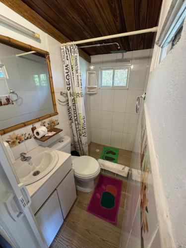 a small bathroom with a toilet and a sink at Green Bamboo Lodge in San Francisco de Borja