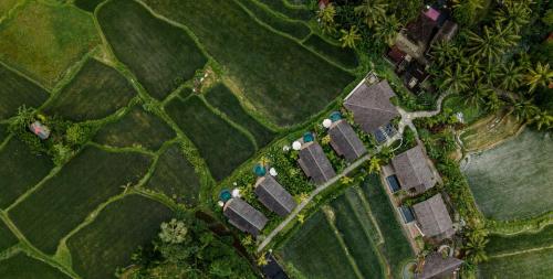 einen Blick über ein Feld mit Häusern und Bäumen in der Unterkunft The Pulu Villas by GenuineHost in Ubud