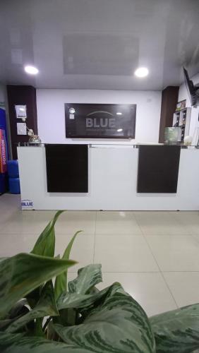 a blue counter in a store with a plant at Hotel Blue in Santa Rosa de Cabal