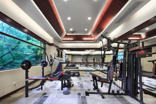 a gym with several treadmills and exercise equipment at 广悦华阳朔河畔酒店 in Gaotian