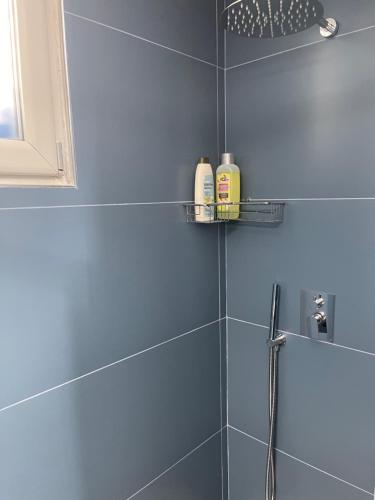 a bathroom with a shower with blue tiles at Casa Direttamente sul mare in Marina di Mancaversa