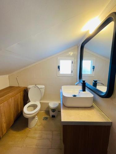 a bathroom with a white toilet and a sink at Blue Pearl Beach House in Sozopoli