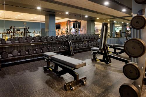 a gym with several rows of dumbbells in it at Hilton Dublin Kilmainham in Dublin
