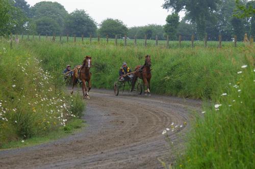 a group of people riding horses on a dirt road at Marie France 's home in Sacey