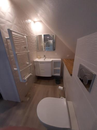 une salle de bain avec des toilettes blanches et un lavabo dans l'établissement Maison de ressourcement évangélique Tabor, à Muhlbach-sur-Munster