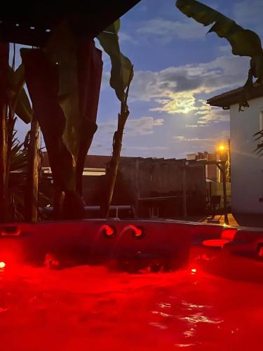 un bassin d’eau rouge avec une plante en arrière-plan dans l'établissement Chalet accueillant à Saint-Vincent-de-Tyrosse avec jardin, à Saint-Vincent-de-Tyrosse