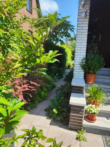a garden with plants and a brick walkway at Komplette Wohnung, ruhig gelegen in Braunschweig